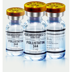 Follistatin 344 (Фолистатин) 1mg